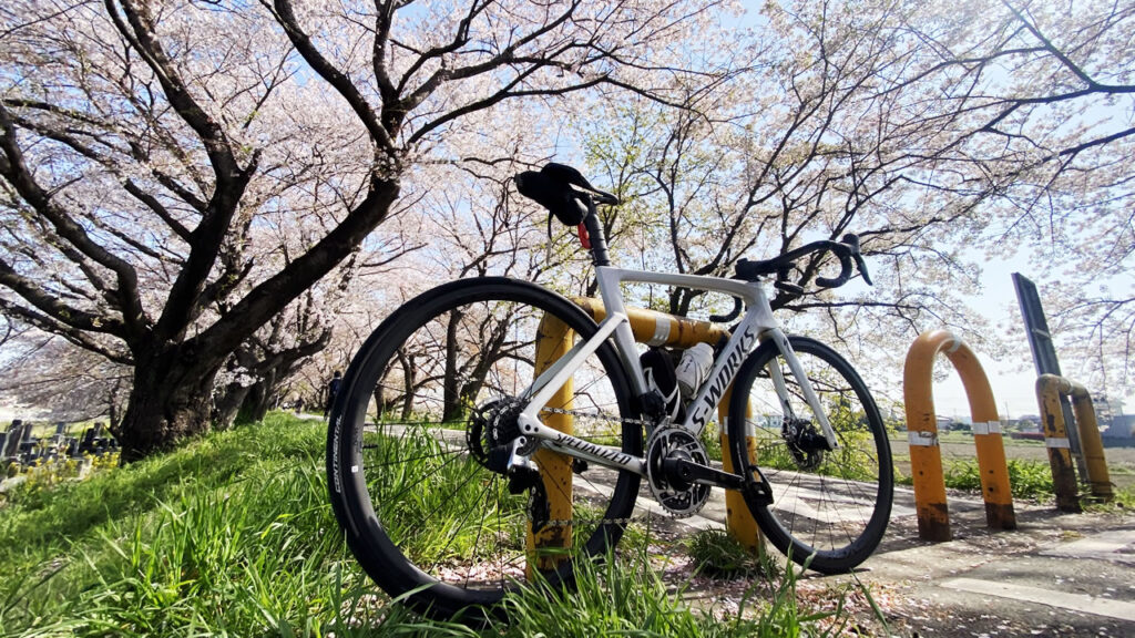 過ぎ行く桜をロードバイクで追い駆けよう！