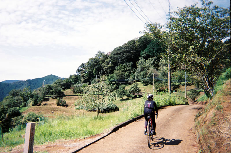 突然景色が開けてきた（写ルンです）