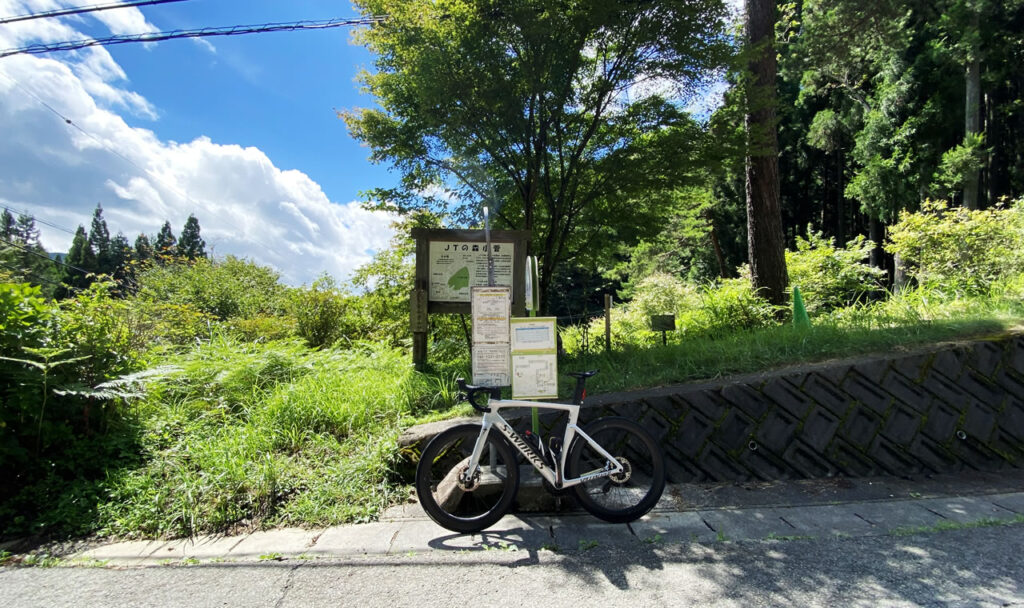 こっそり鶴峠に練習行ってきましたの