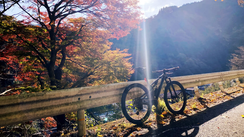 MTBにも電動コンポが必要でした