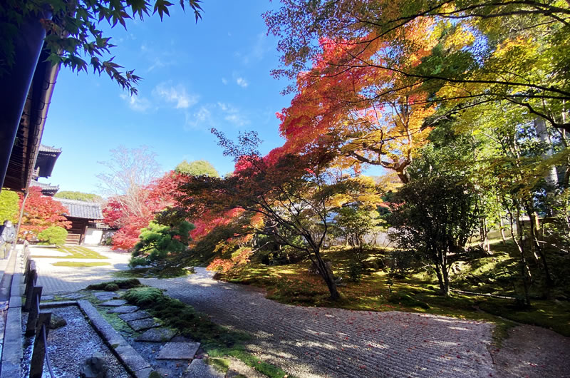 天寿庵の紅葉を混雑なく見られるのはコロナの今だけ