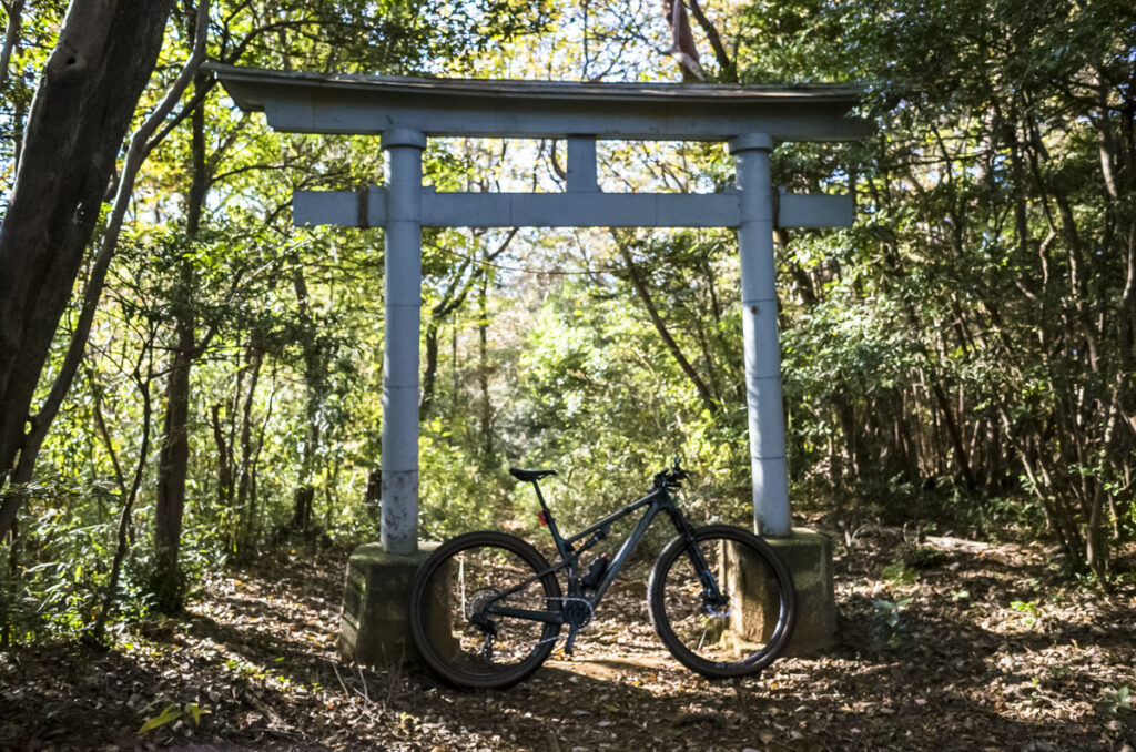 今日も今日とてトレイルへ