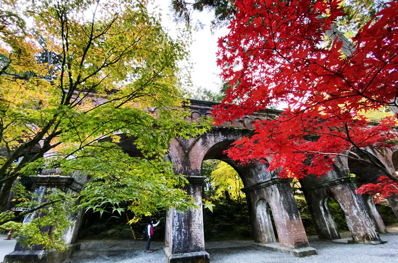 水路閣の紅葉は間もなく見ごろ