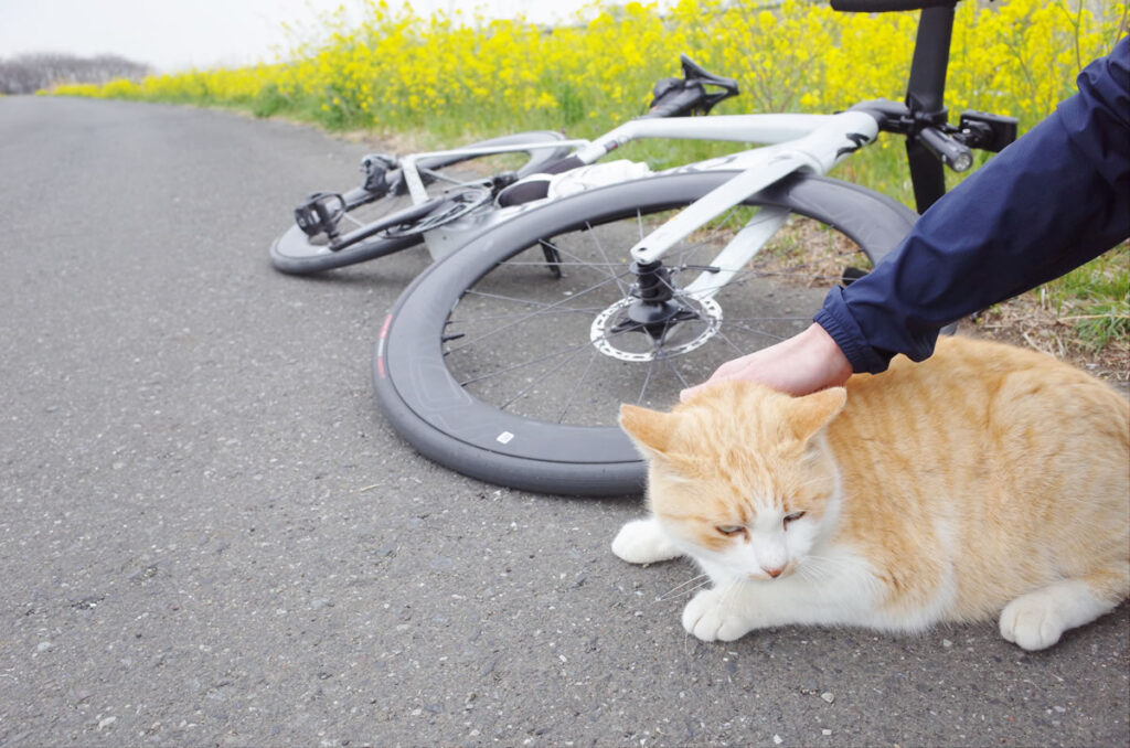 2021年の桜を探しにロードバイクで荒サイへ