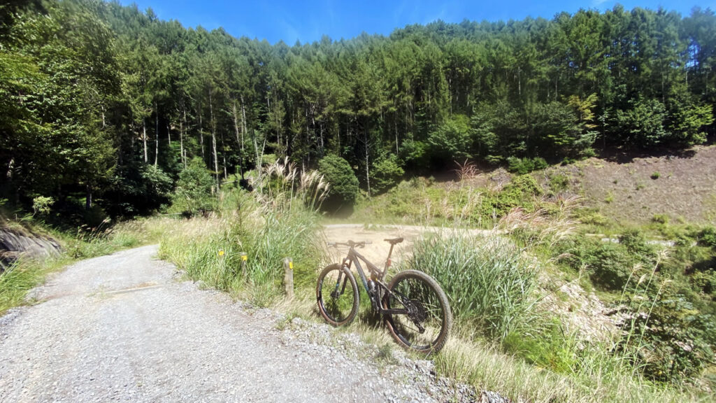 開通したばかりの林道田口十石峠線をマウンテンバイクで走ってみよう！