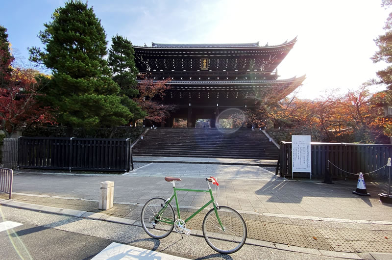 知恩院の紅葉も見ごろです