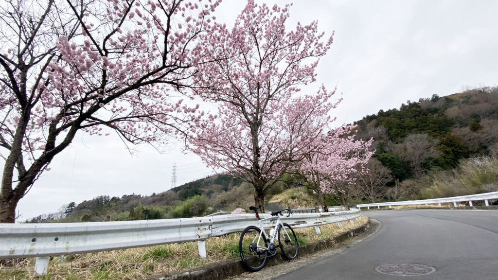 僕もクライマーになりたいと思った時期がありました／(^o^)＼