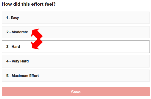 ドッチを選ぶか、それが問題だ