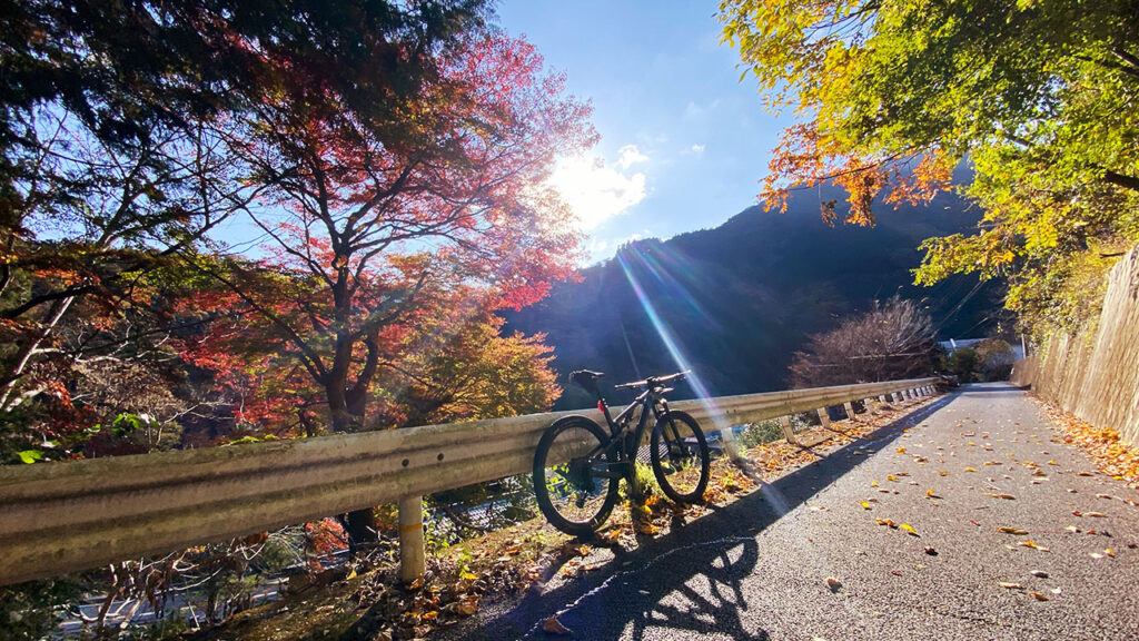 色づく紅葉が秋の深まりを感じさせてくれます