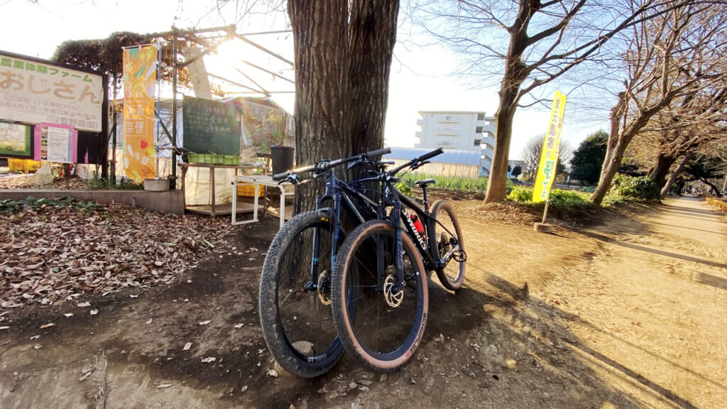 多摩湖自転車道が素晴らしかった