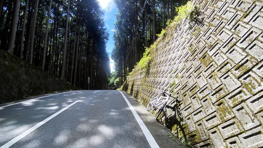 主張が激しい迂回路として有名な今川峠さん