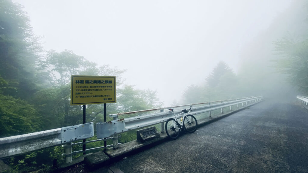 これが今日の目的だった富士山の絶景