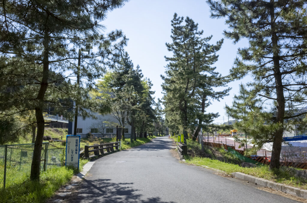 五街道の特徴である松の並木