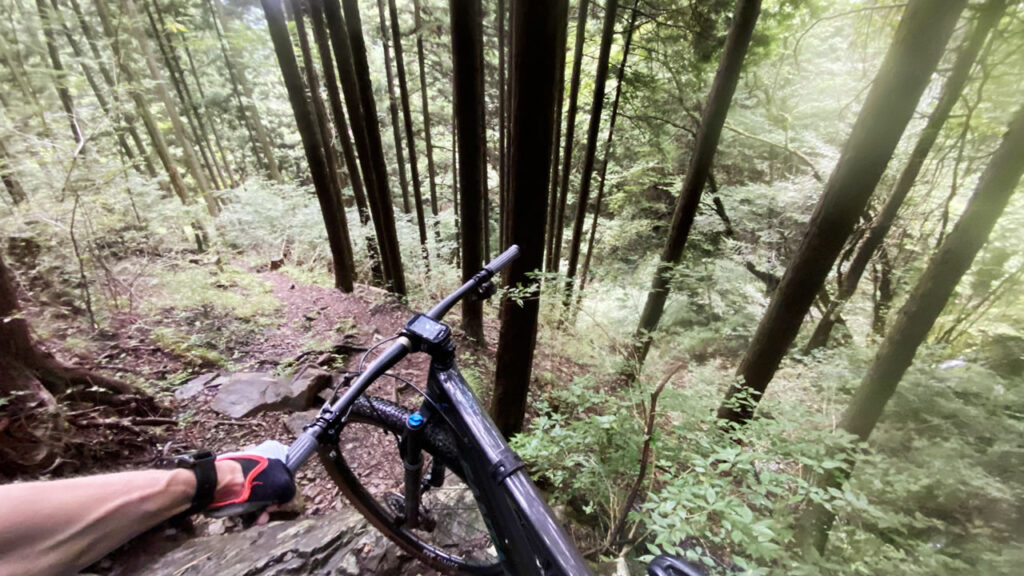 都道201号線の途切れた先にある登山道