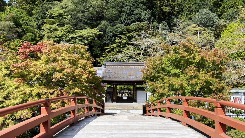 念願の室生寺に来ました