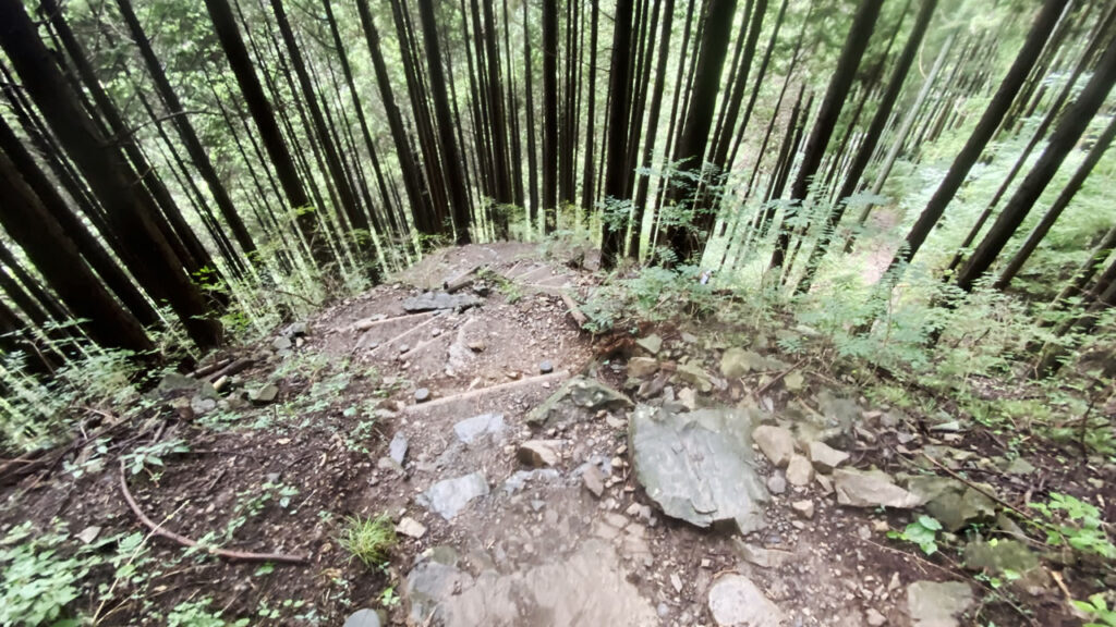 この道（都道201号線？）をMTB担いで上ってきました