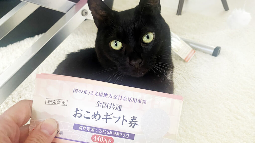 本文と写真に関係はありません