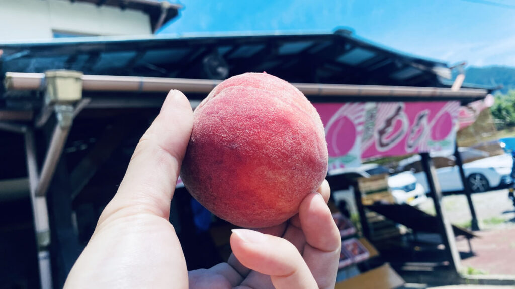 2025年も桃の季節になりました