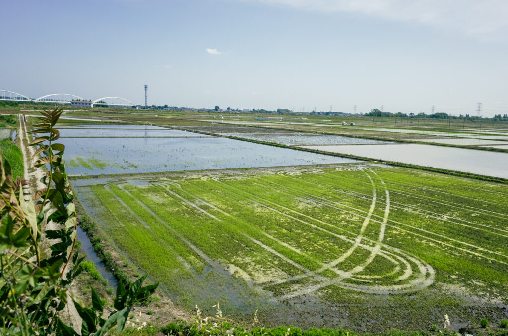 神奈川にこの景色はあるまい！