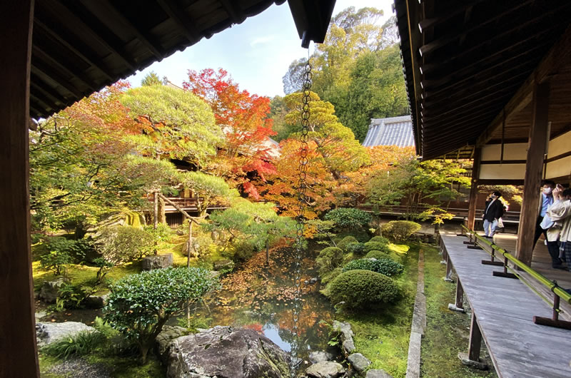 永観堂は紅葉も建物も素晴らしい