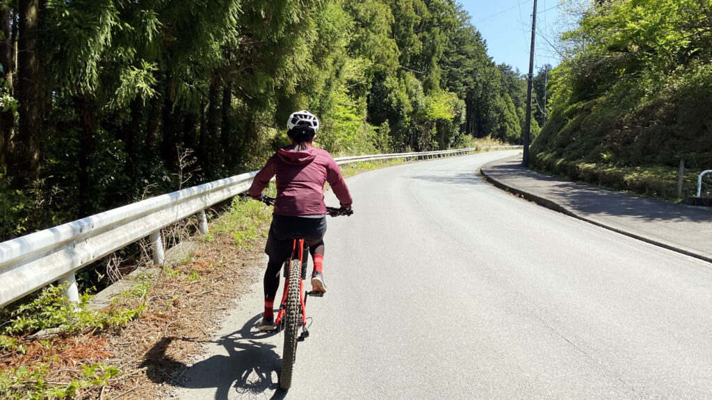 舗装路も未舗装路も走れる最強の自転車を注文しました