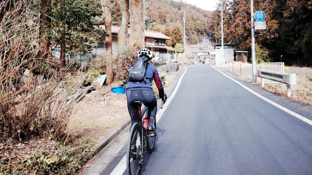 たまには山を登ってみようと思った