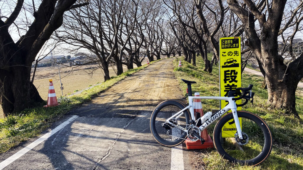 荒サイは随所で工事中