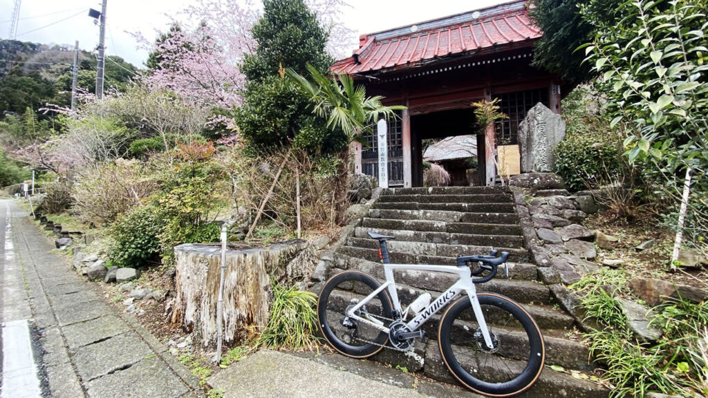 まずは蓑毛まで来てください、桜が咲いていますよ