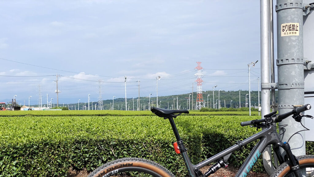 川島町の名産を求めて