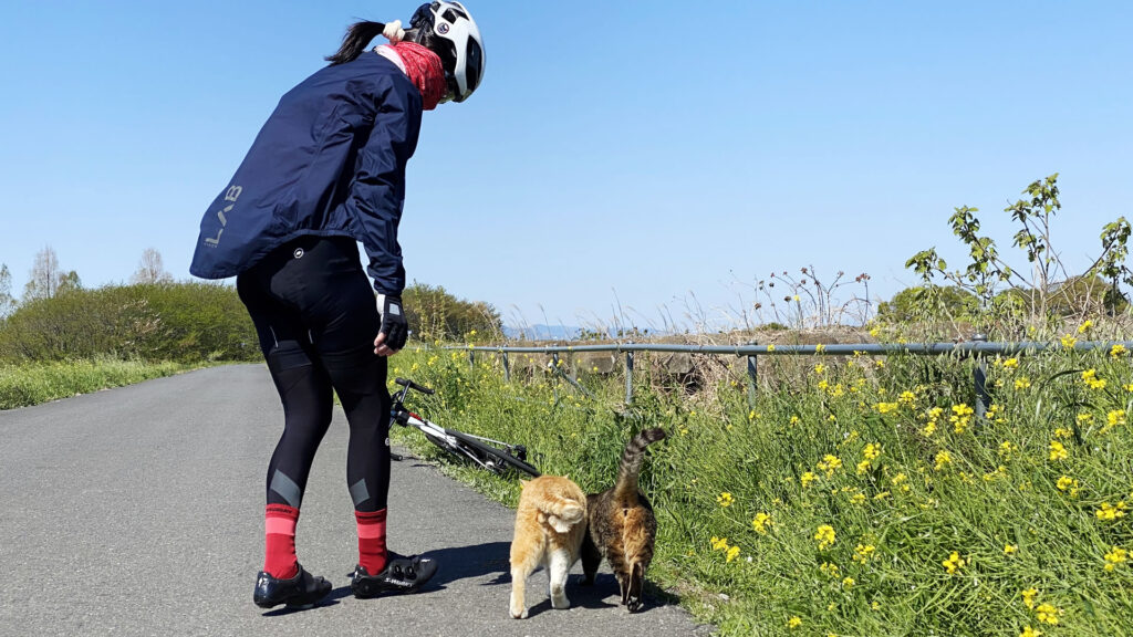 埼玉県民、猫を大切にするお人柄