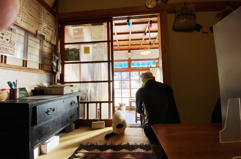 ロードバイクで「接待を伴う飲食店」に行ってみた