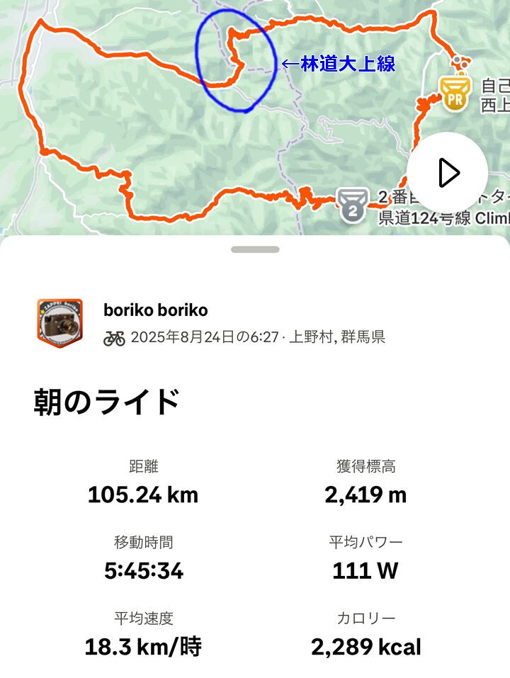 林道大上線はココです