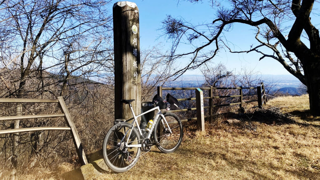 荒サイ経由で子の権現を目指すには刈場坂峠を越えねばならぬ