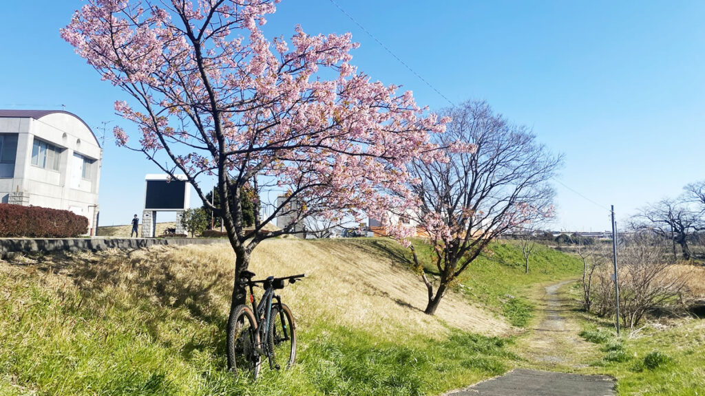東京の春は始まっている！