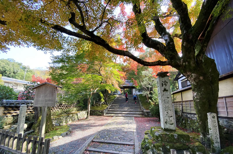 安楽寺は隠れた名所