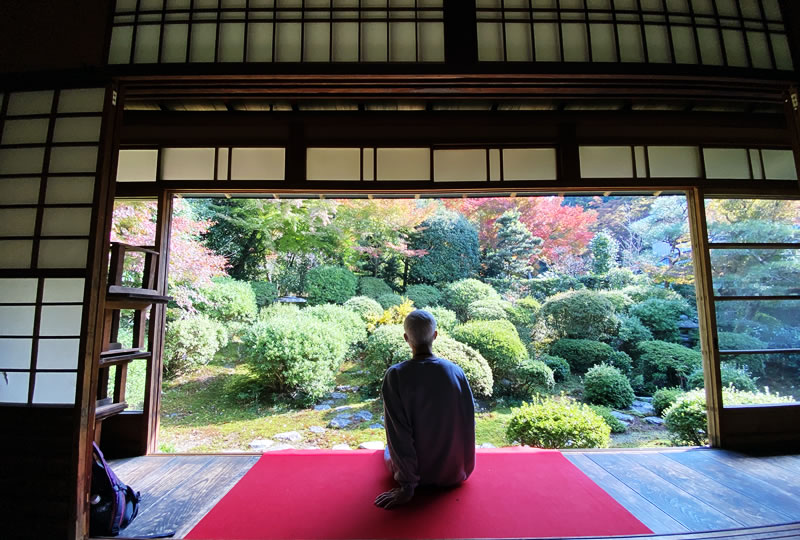 庭園からの眺めを独り占めできる安楽寺