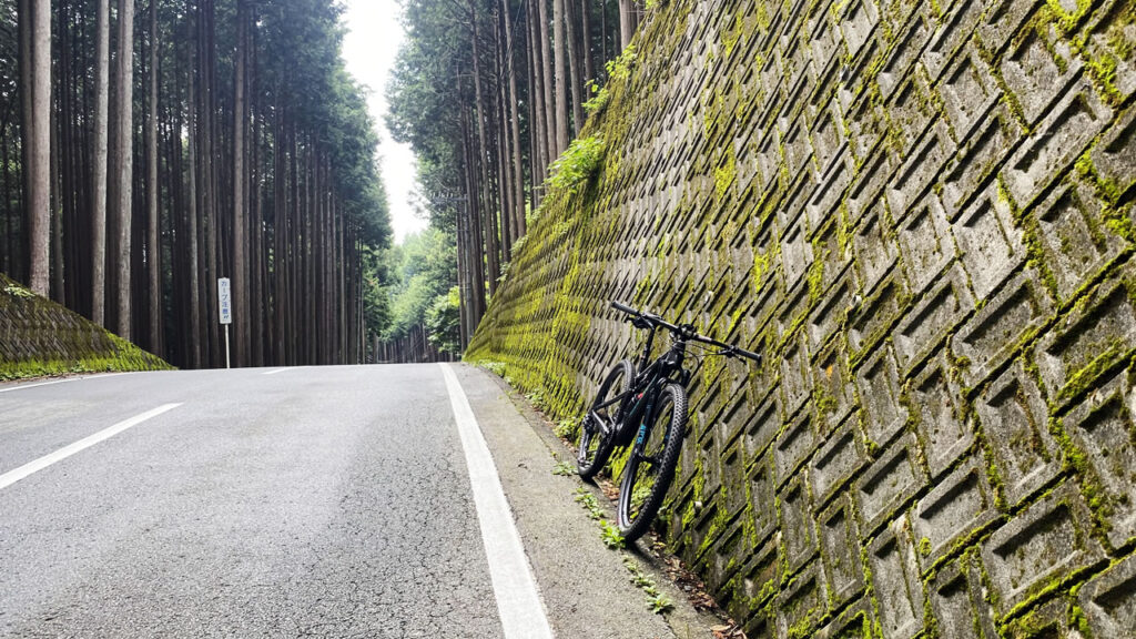 遠慮を知らないう回路こと今川峠