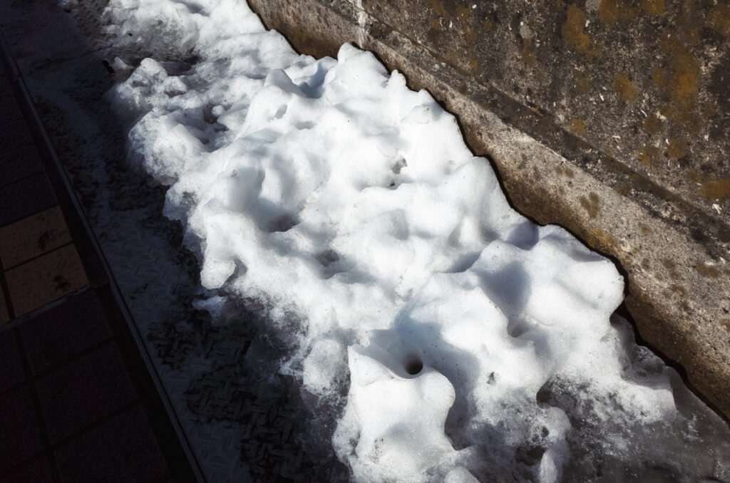 すでに瀕死の東京の雪さん