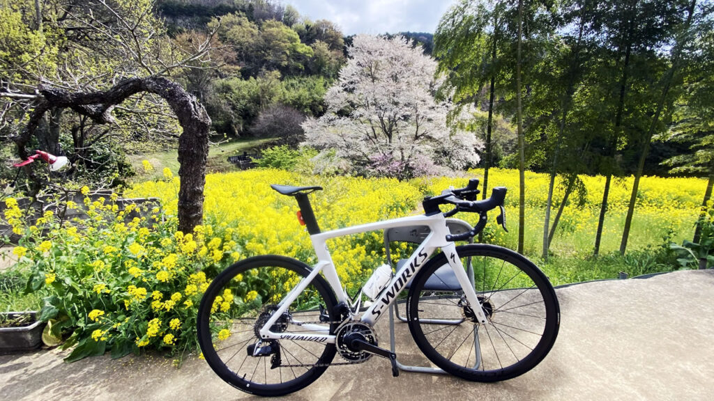 蓑毛の名所「淡墨桜」