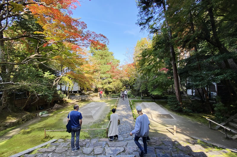 法然院の紅葉の見ごろは1～2週間後