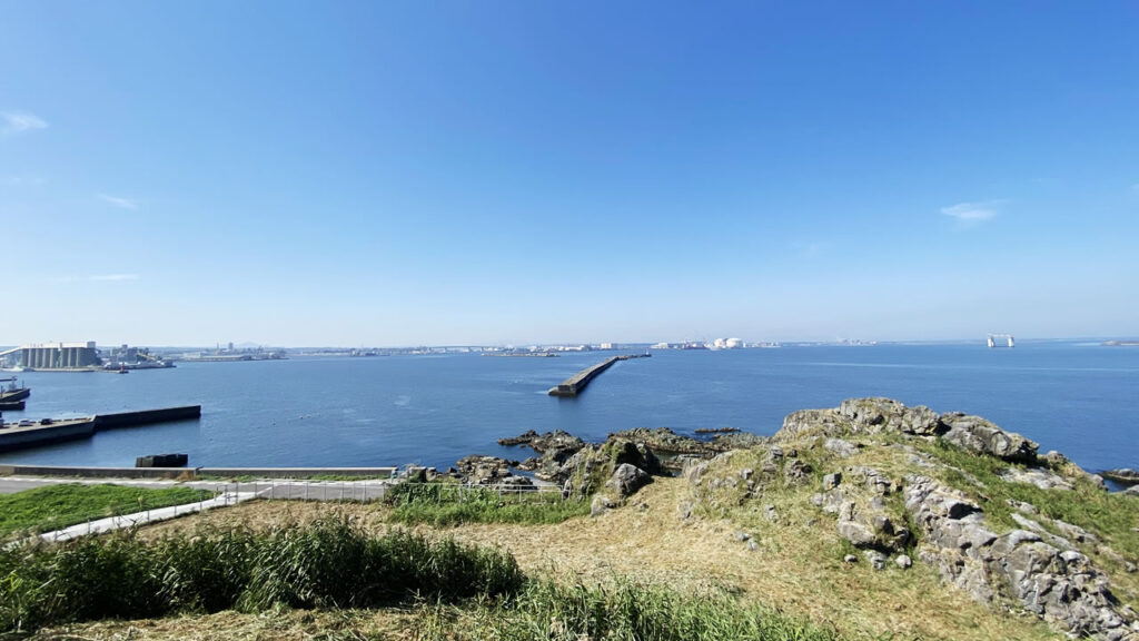 蕪島のウミネコ繁殖地は国の天然記念物