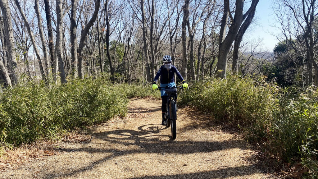 せっかくなので山のほうにも足を伸ばします