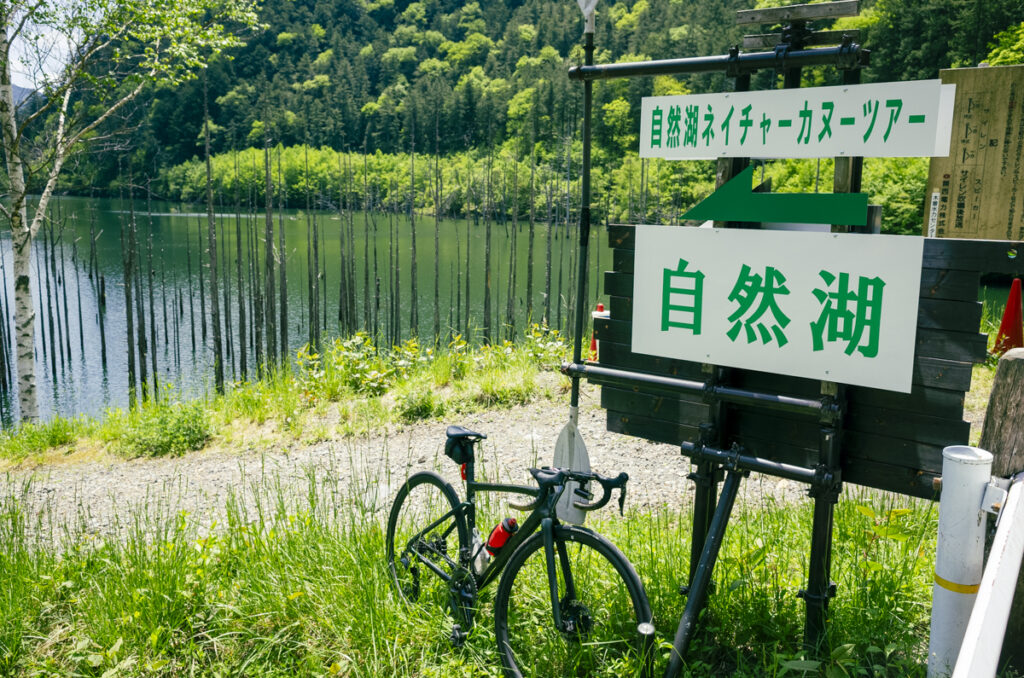 これが自然湖