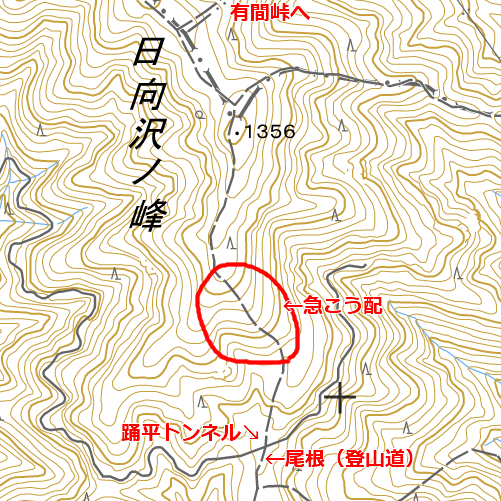 これから進む登山道の確認