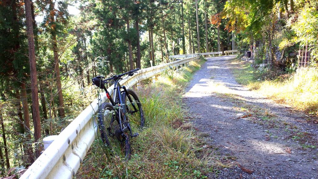 奥多摩むかし道で押し歩きすることはなくなってきた