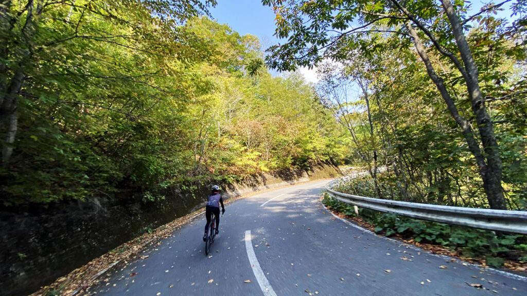 紅葉もほのかに始まっていますか！？