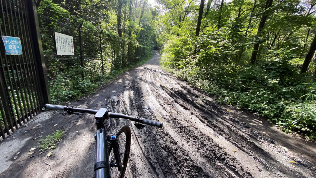 レーシングラルフはソフト路面もある程度大丈夫