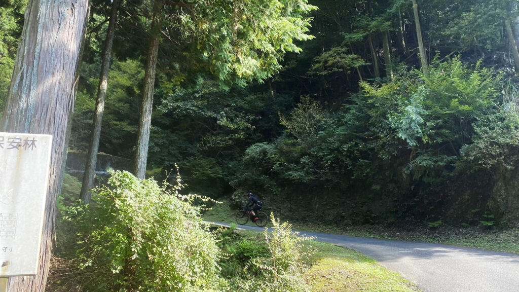 激坂を軽々上るロードバイクが羨ましい