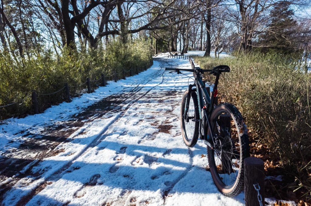 山のほうはまだ雪が残っておりました