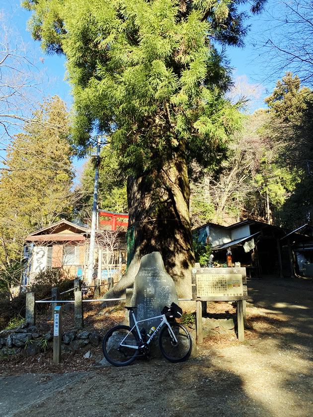 子の権現はもっと地獄ですよ